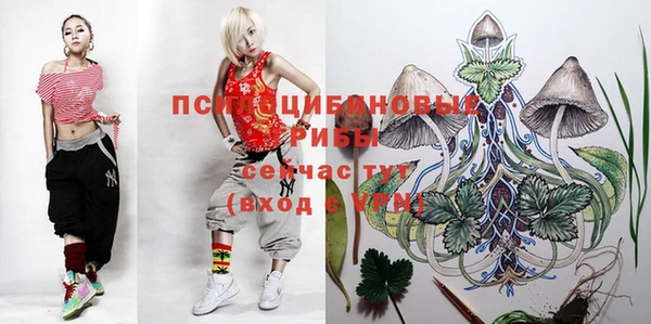 мескалин Балахна