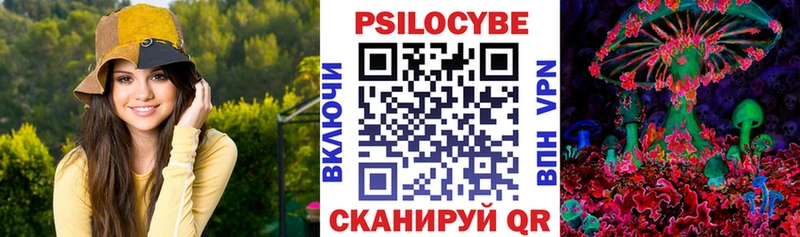 цена Светлогорск Галлюциногенные грибы мицелий